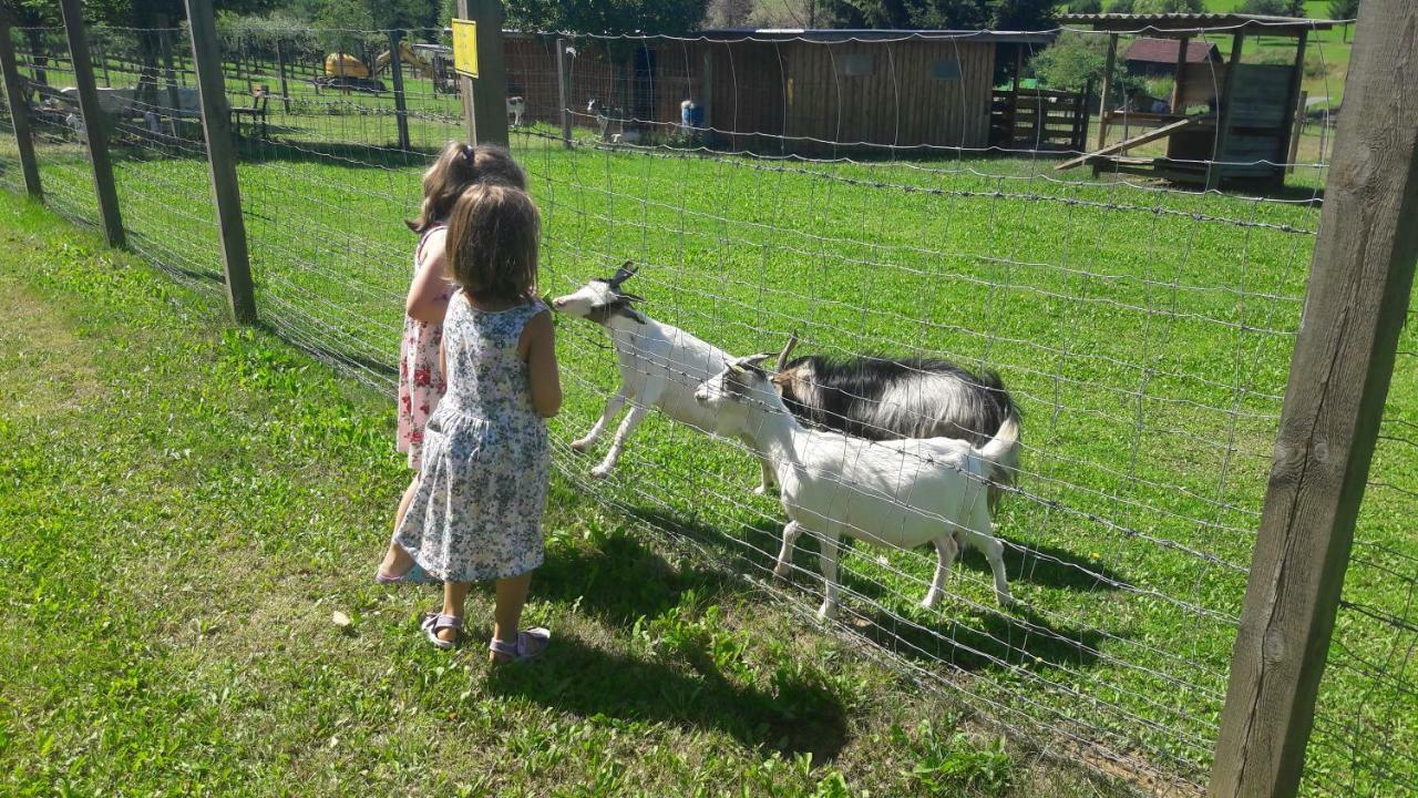 Ferienhaus Planetz Kaindorf  Esterno foto